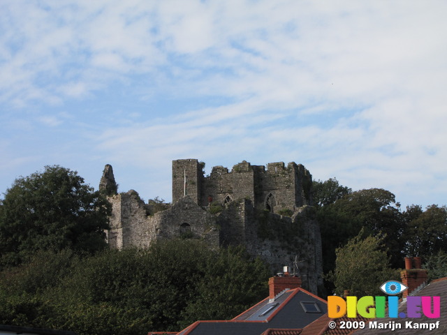 SX09711 Roofs of houses and Oystermouth Castle